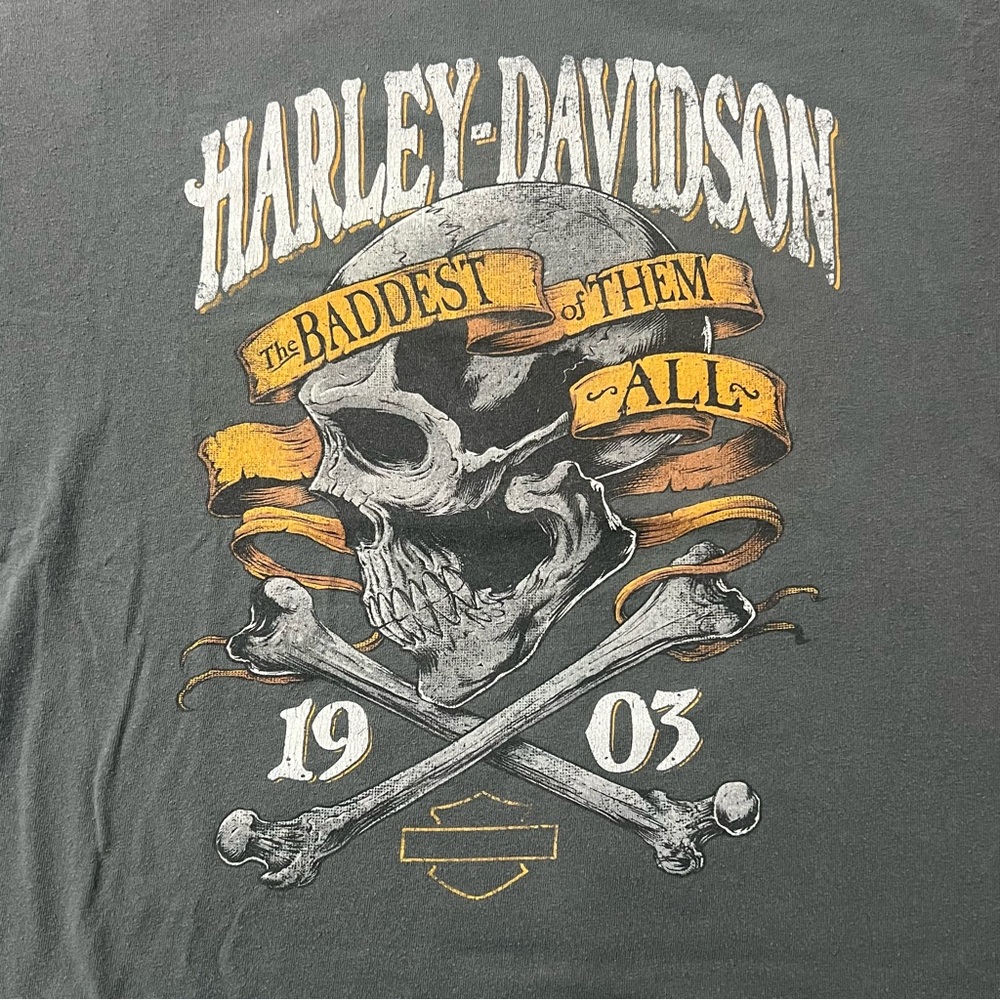 Harley-Davidson Skull Flames Graphic T-Shirt 2XL Three Rivers Pittsburgh 1903